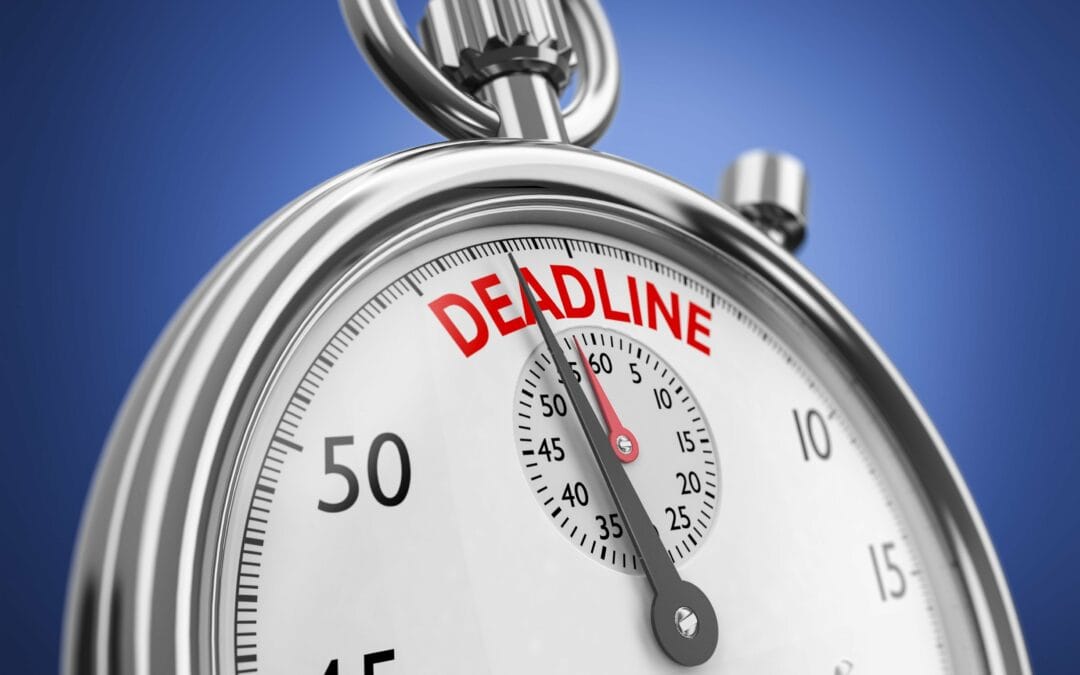 Call for internships in the academic year 2026/2027